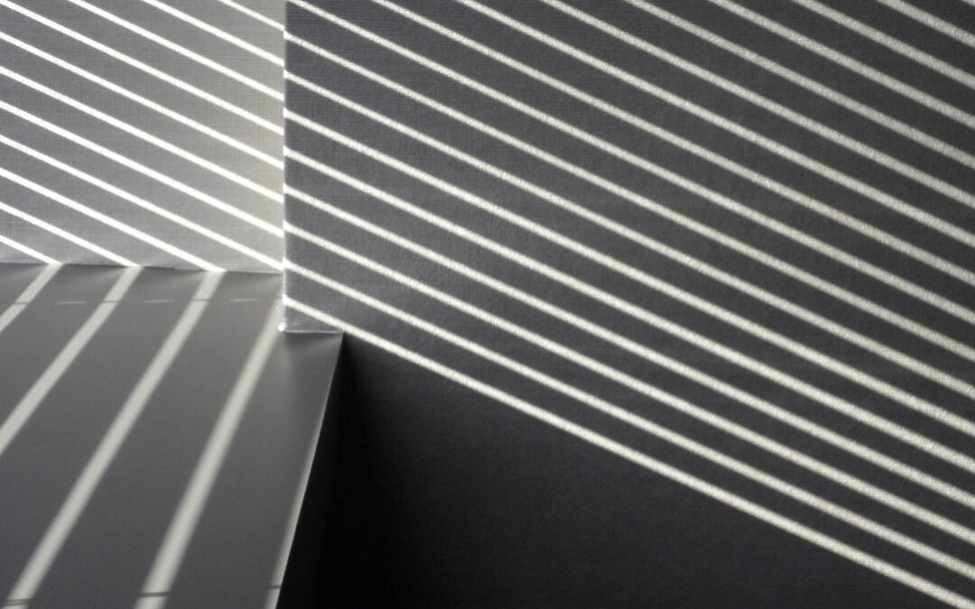 Geraldine LiaBraaten : Shadow / Reflection