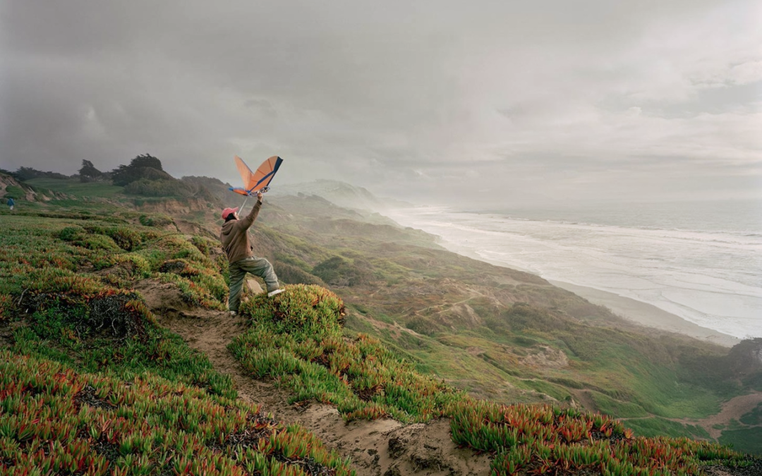 Alex Fradkin : The Left Coast