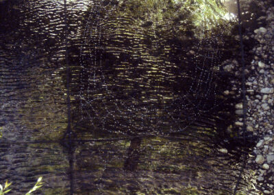 Mary Curtis Ratcliff, Waterweb, mixed media 40 x 28 1:2 x 2 in.