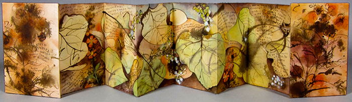 Wild Book Show: Field Notes and artist books by Andie Thrams
