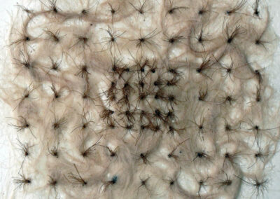 tc moore, Palomino, encaustic & horsehair, 10"x10"