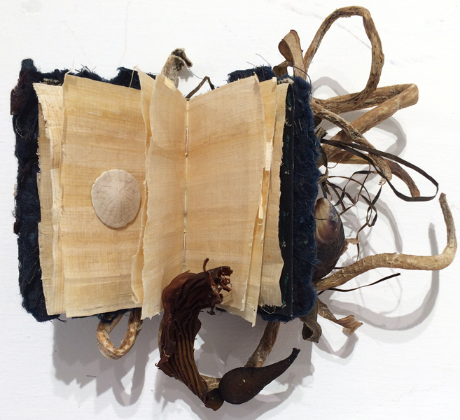Wild Book Show plus Nature Journals by John Muir Laws