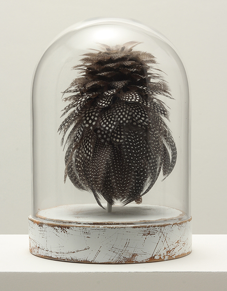 t.c. moore: LOST ANIMALS