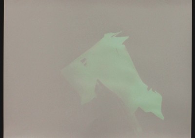 Kellie Flint, Failure 5, bleach on paper