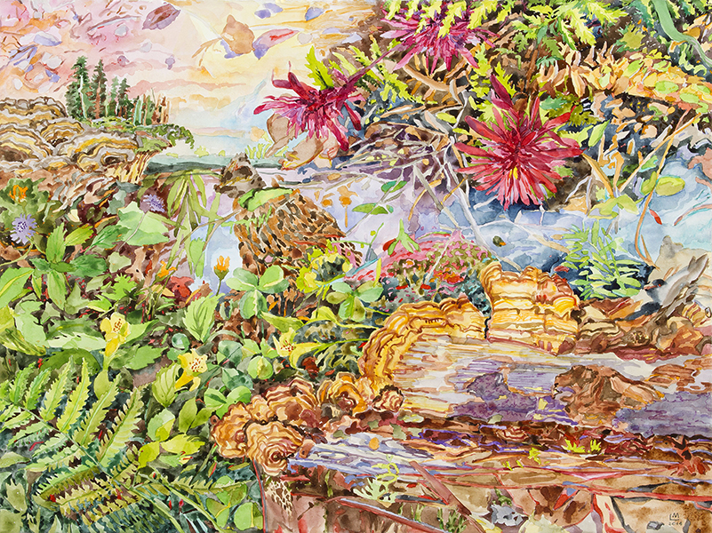 Points of Departure: GRO Artist Members Exhibition