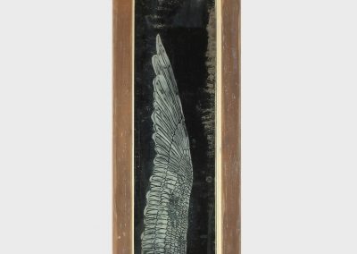 t.c. moore, albatross