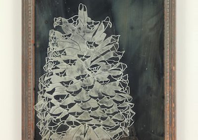t.c. moore, pinecone