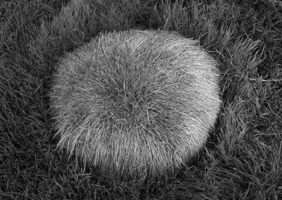 Brian Dean, Hair Brush