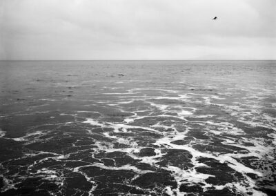 Brian Dean, Jetsam