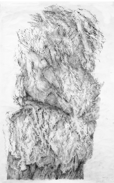 Zea Morvitz: Rising to the Surface, works on paper