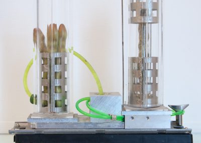 Betty Woolfolk, Untitled Assemblage