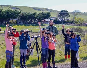 Birding in the Giacomini Wetlands