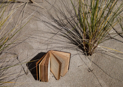 Tim_Graveson, Book in the Dune
