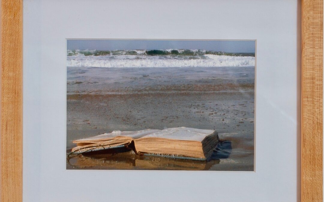 Member Artworks for Sale Online