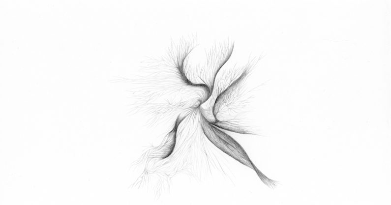 Connected Earth