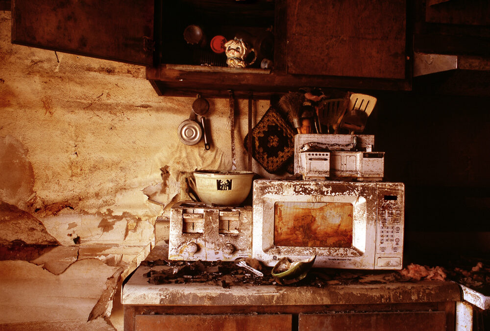 Resilience / 2020 Annual Members’ Exhibition