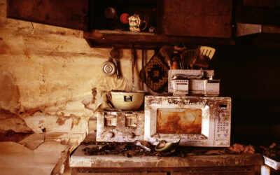 Resilience / 2020 Annual Members’ Exhibition