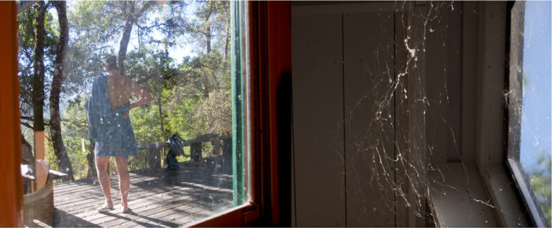 Marna Clarke, Nina Cobwebs, Photography
