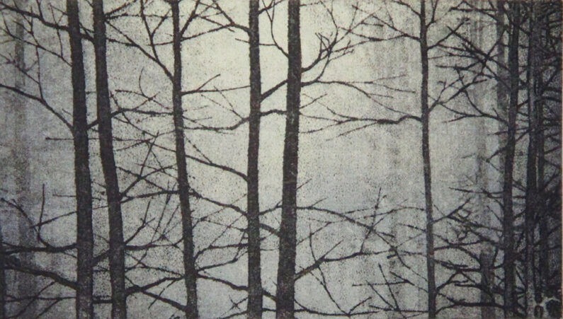 Linda Yoshizawa, The Woods Beyond, solarplate etching, 5.5 x 9.5 in, 2017