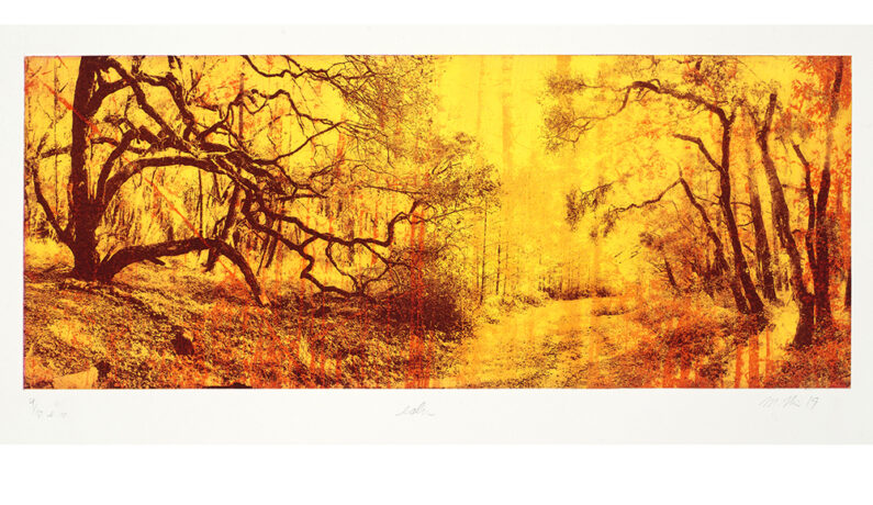 Margaret Niven, Eden 4/10, photopolymer intaglio, chine collé, chalk pastel, 15 x 30 in, 2021