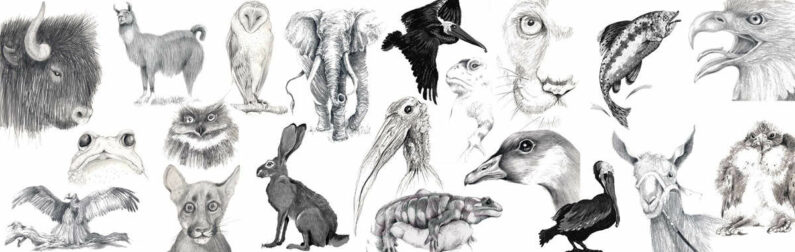 Andree Singer Thompson - Hope - drawing, 11nX17in