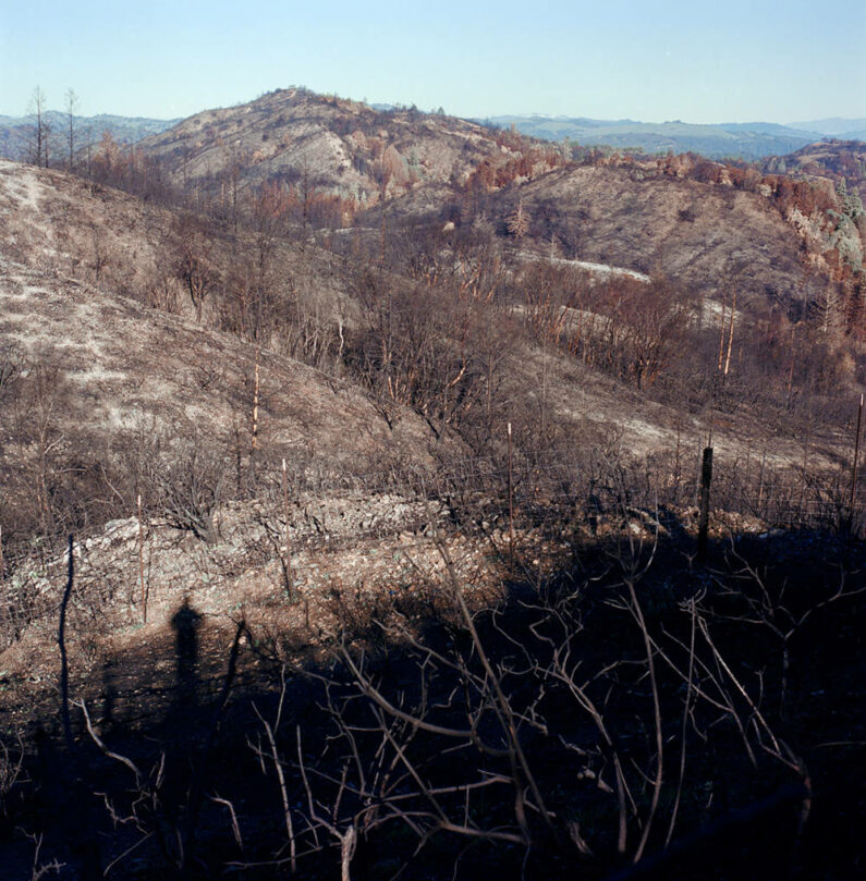 Adam Shemper - My Shadow in Hills Burned by Walbridge Fire - Pigment Print - 18 x 18in