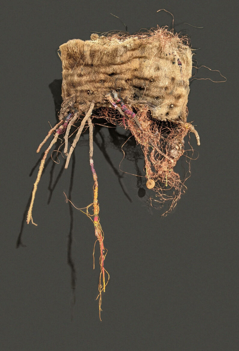 Julia Feldman - Industrial Captive - Mixed Media Fibers - 19 x 13 x 9in