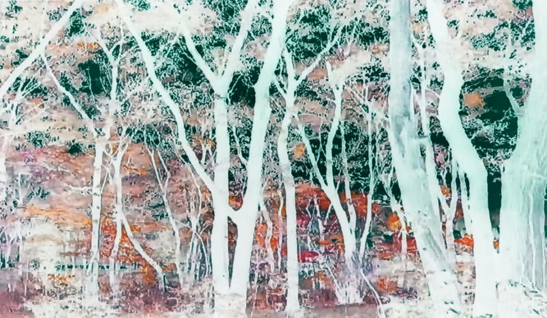 Dotti Cichon - Where Have All the Creatures Gone - Photo on Fabric - 42in x 72in