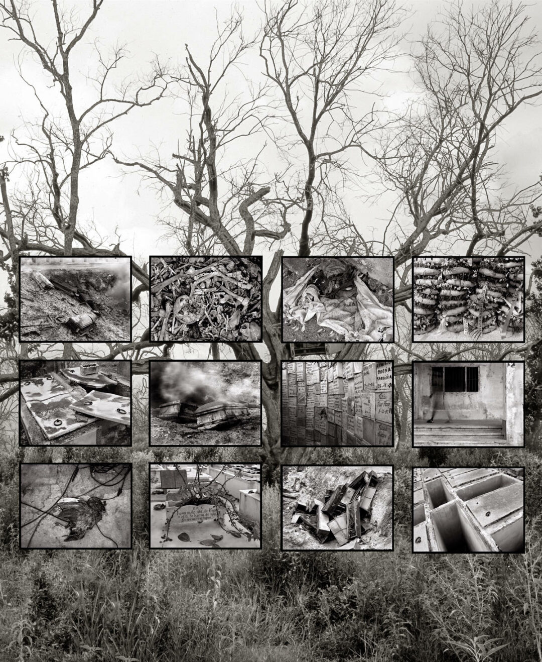 Charles Anselmo - Cementerio - Framed Prints Mounted Over Silk - 95inH x 84inW