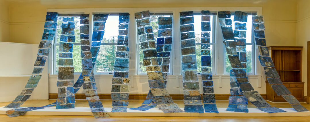 Jane Ingram Allen and Jami Taback - Mixed Media Installation 2