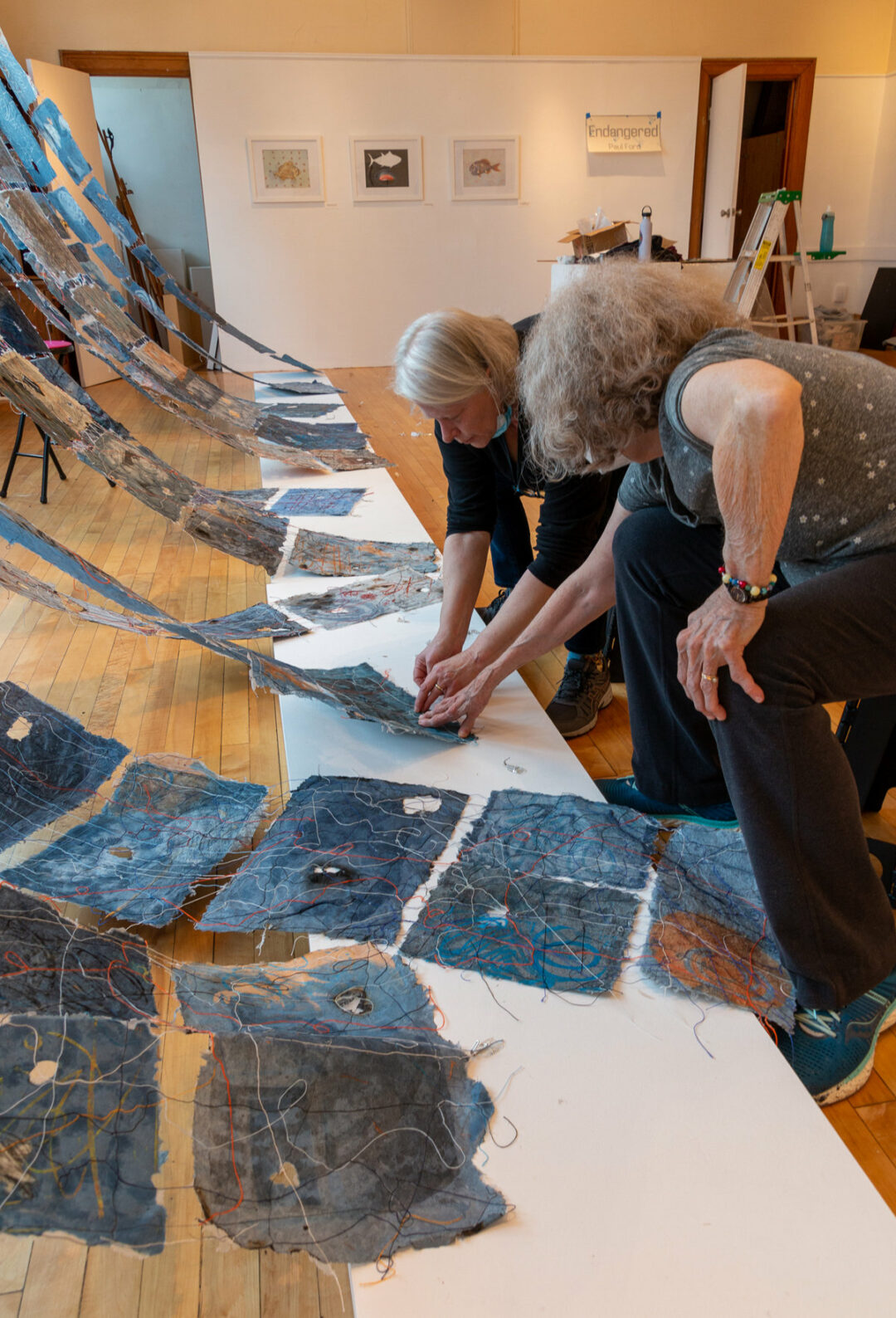 Jane Ingram Allen and Jami Taback - Mixed Media Installation 3