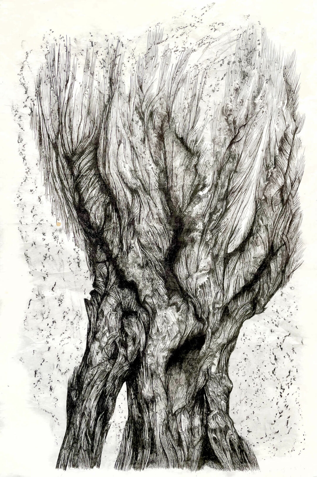 Zea Morvitz - Carrowcrom - ink - 31x26