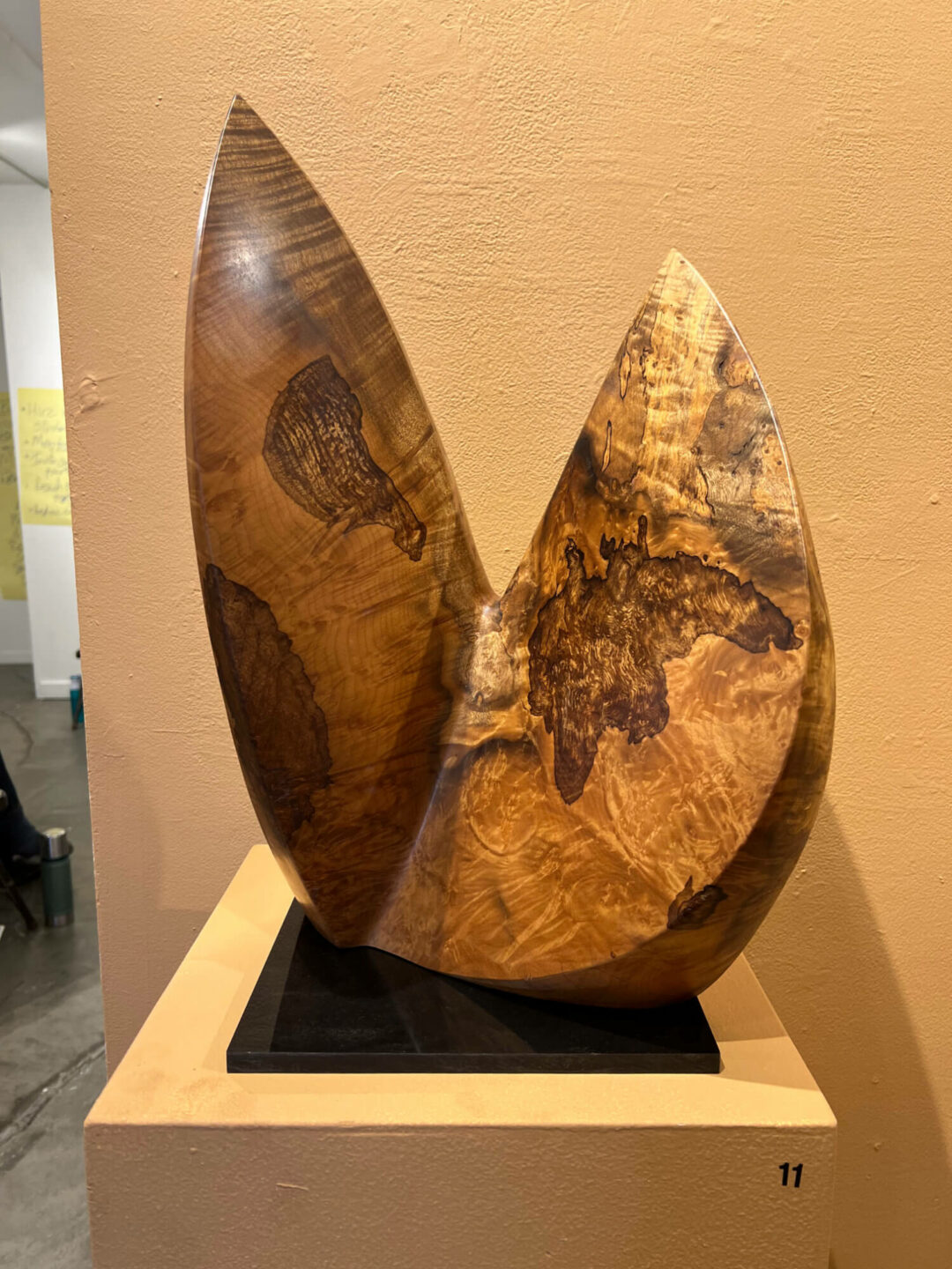 Bruce Mitchell - WINGSPAN - 2022 - bay laurel burl - 19in x 13.5in x 6in