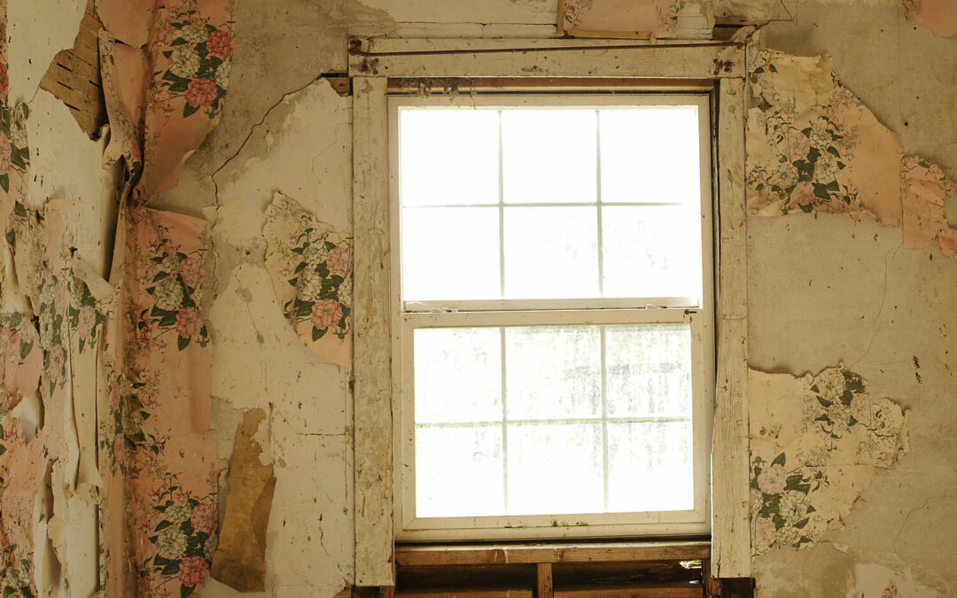 Charles Anselmo: Ephemera; A Photographic Installation