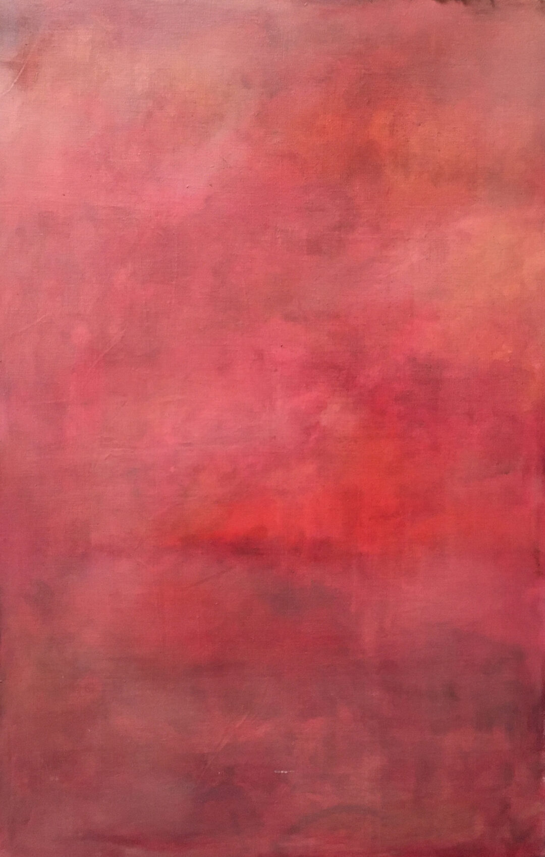 Jenny-Lynn Hall - Untitled - Oil on Canvas - 37.5 x 2 4
