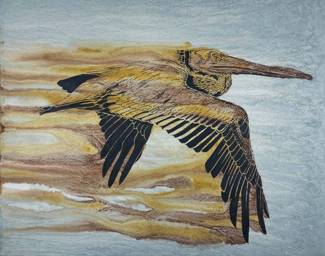 Xander Weaver-Scull - Brown Pelican - 22in x 28in