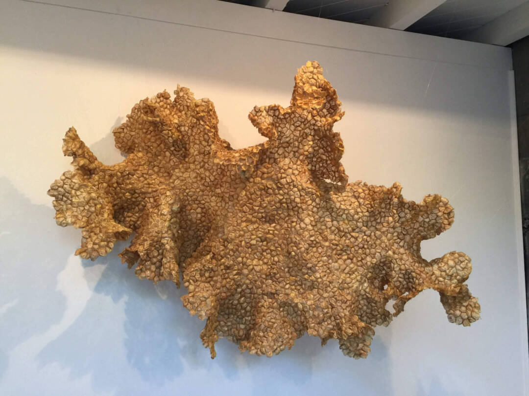 Dale Eastman - Relearning How To Fly - moth cocoons, linen covered wire, sound wire - 44in x 70in x 2in