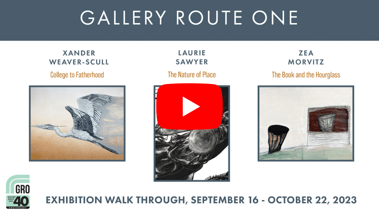 Walk Through Video