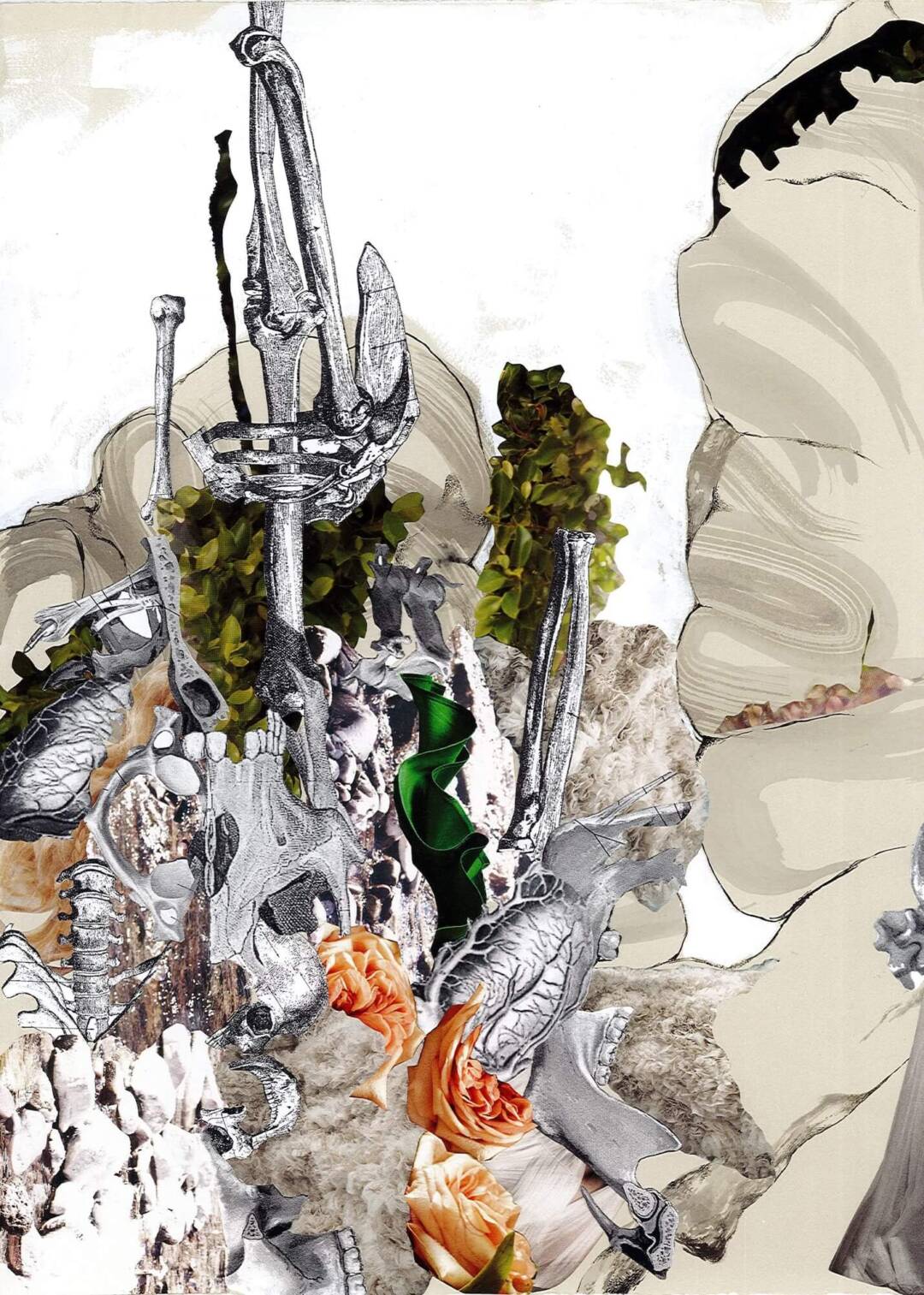 Taryn Möller Nicoll - Epistasis - Ink and collage on paper - 22in x 16in