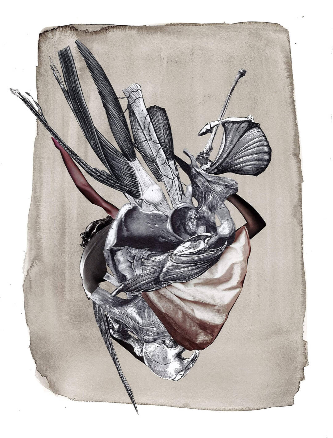 Taryn Möller Nicoll - Imago - Ink and collage on paper - 15in x 11in