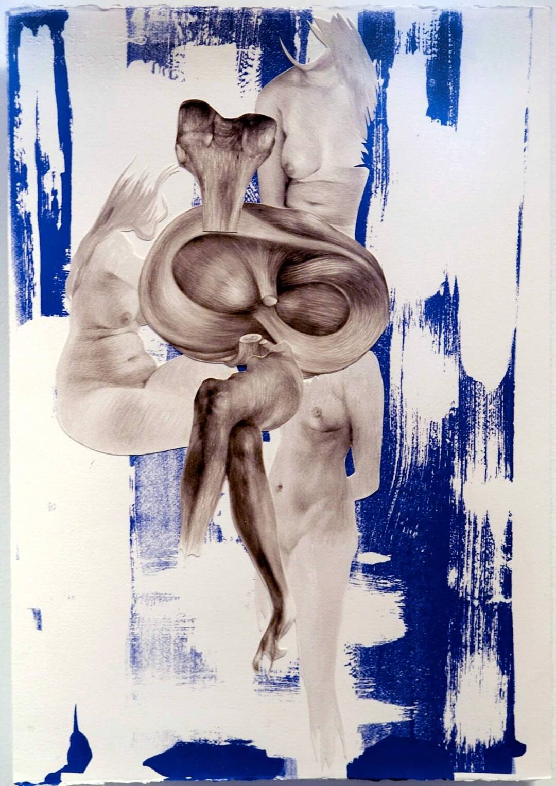 Taryn Möller Nicoll - Morula - Ink and collage on paper - 22in x 16in