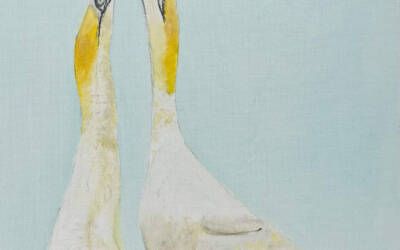 EA Zappa: For The Birds