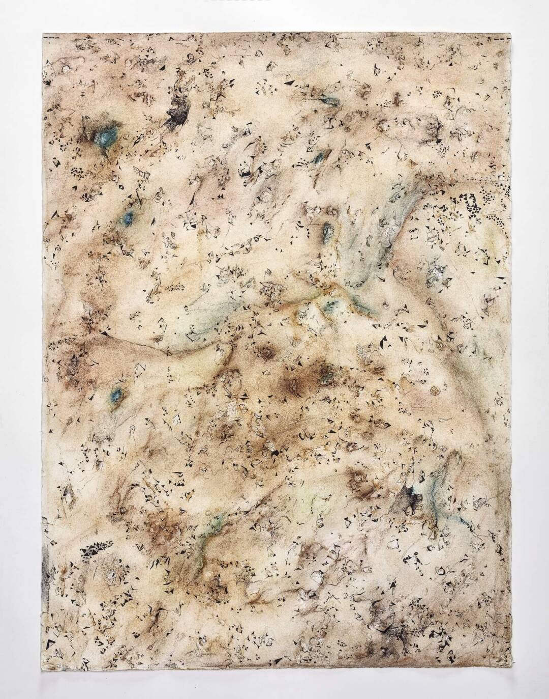 Jizell Albright - Lively Desert - Drawing - 22in x 30in