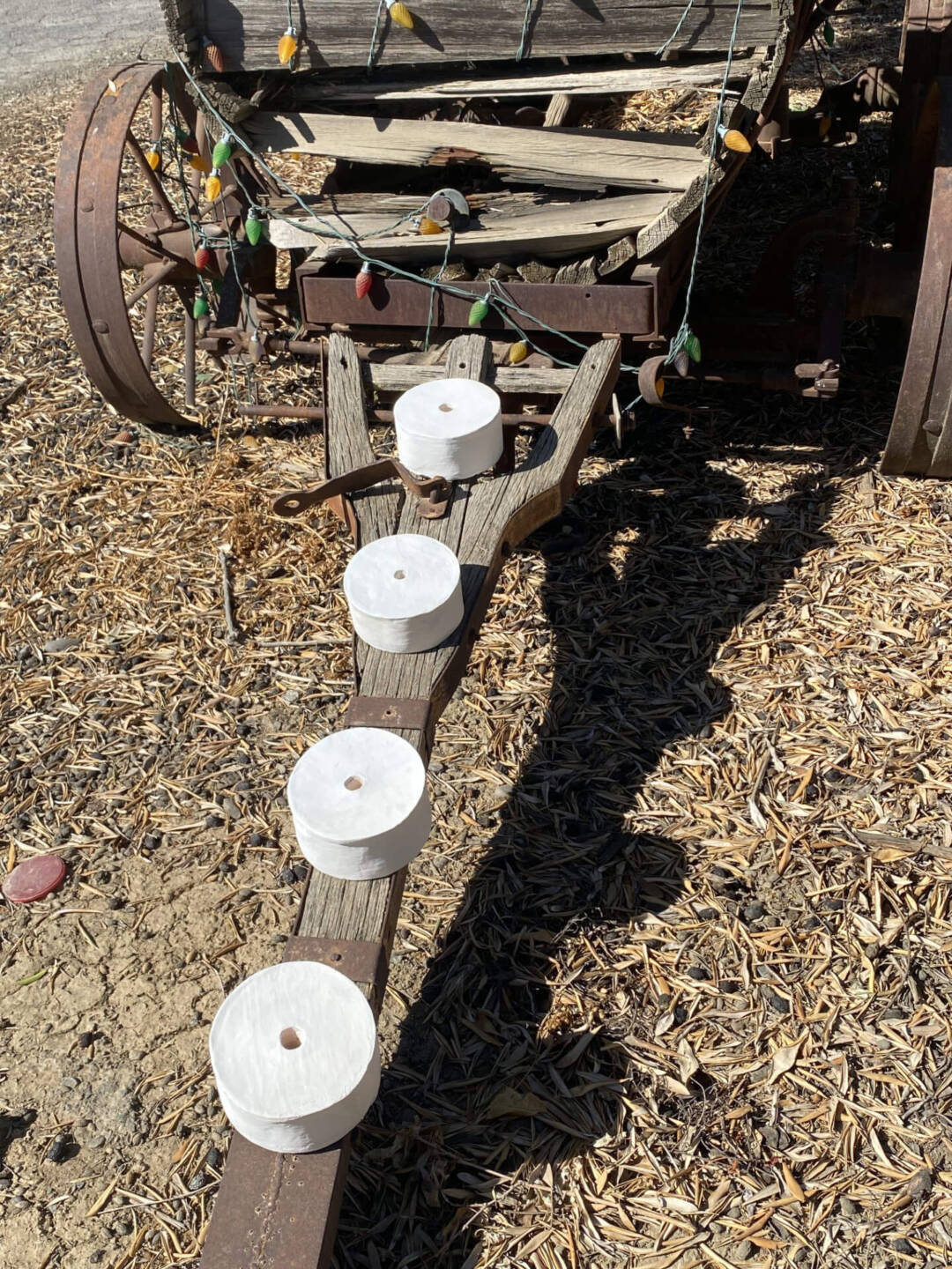 Grounded in Coast Miwok - Jacquelyn Ross - 2024 - Beads on horse pulled sprayer
