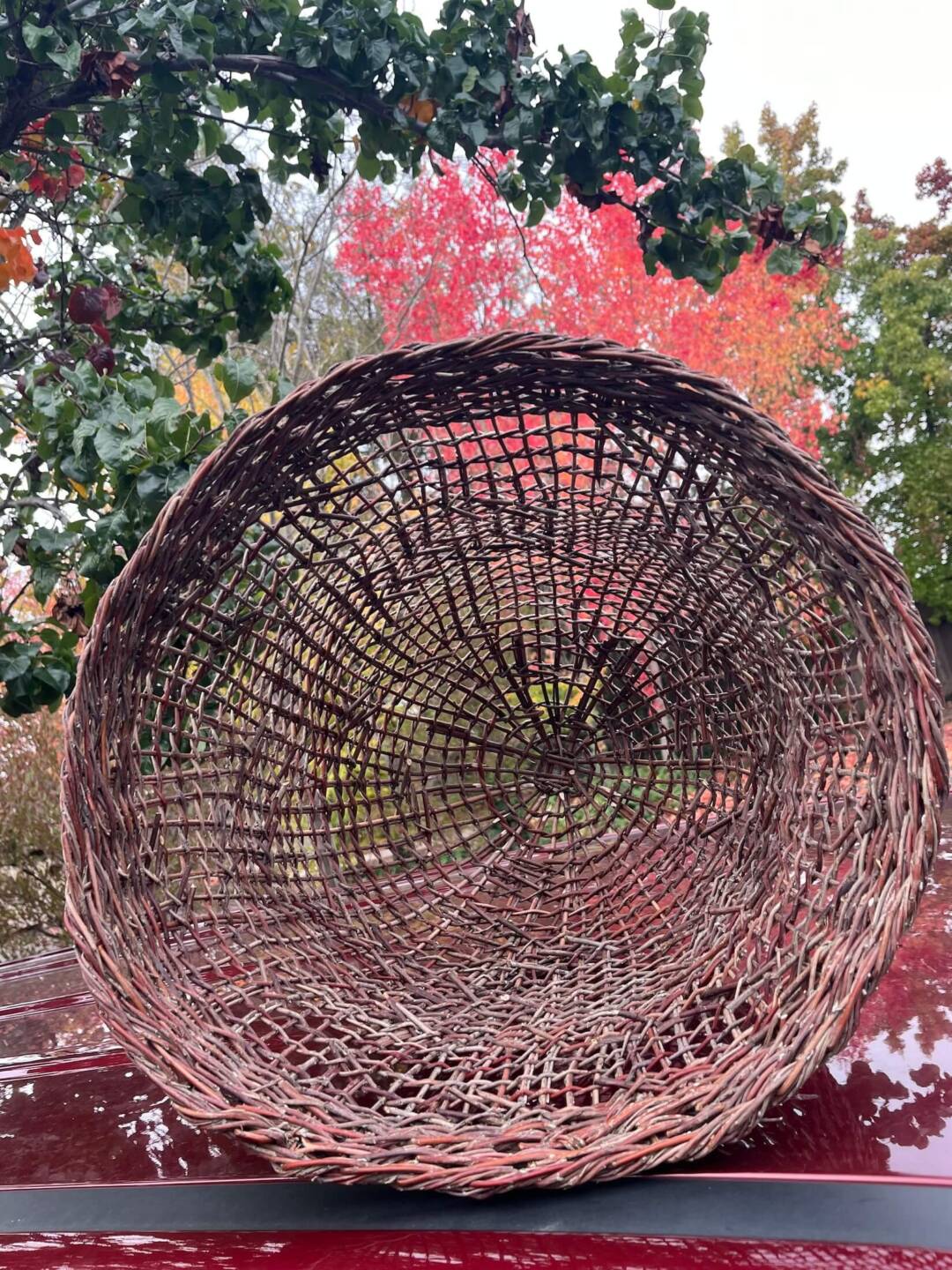 Grounded in Coast Miwok - Silver Galleo basket 2