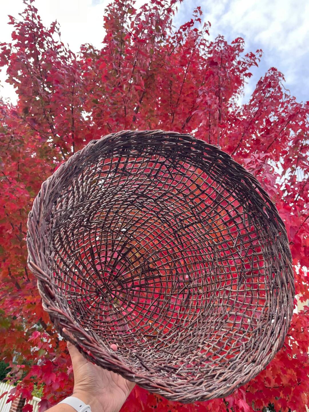 Grounded in Coast Miwok - Silver Galleo basket 3