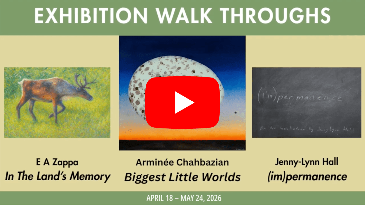 Exhibition Walk Through Video