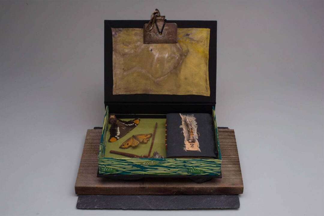 Renee Owen - Insect Life- Artist Book and Specimen Box - 9in x 11.8in