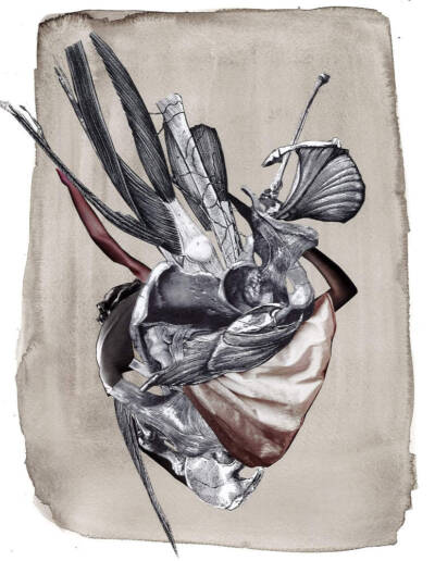 Taryn Möller Nicoll - Imago - Ink and collage on paper - 15in x 11in